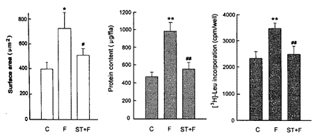 ����άϸ��|�ļ�ϸ��|�ʴ�|ϸ������|����/�����������ҳ���άϸ����������Һ�Ĵ��ļ�ϸ���ʴ�����//