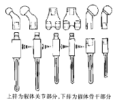 t5101.gif (3316 bytes)