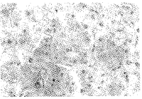 t2302.gif (7914 bytes)