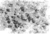 t2303.gif (8545 bytes)