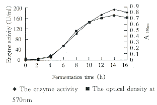 142-1.gif (4018 �ֽ�)