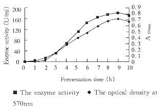 142-2.gif (4096 �ֽ�)