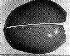 347-2.gif (43390 bytes)