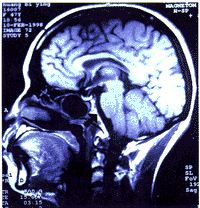 t14902.gif (17748 �ֽ�)