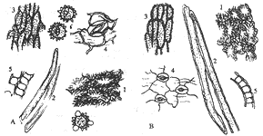 t704-1.gif (7808 bytes)