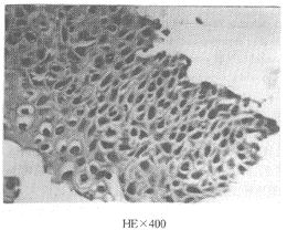 t6002.gif (20169 bytes)