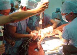 �����ȡ����������ɹ�����������//