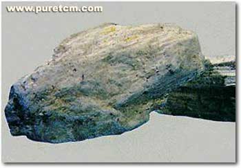 �в�ҩͼ��:����ʯ