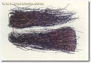 �в�ҩͼ��:��֦��