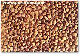 �в�ҩͼ��:������