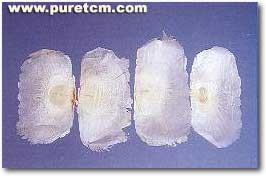 �в�ҩͼ��:ľ����