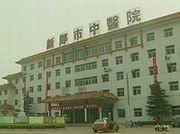 
������̸��������������������ҽԺ��ְ
//