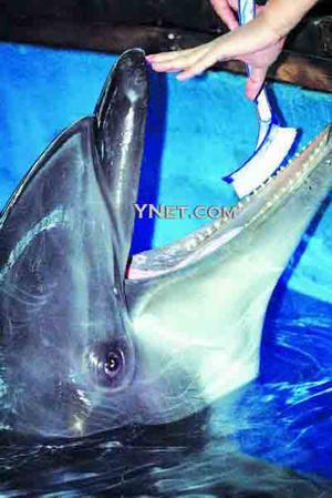 
���簮���պ����ðѴ�ˢ��"ˢ��"
//