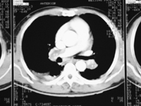 ���Էζ���Ѫ˨˨�����������//