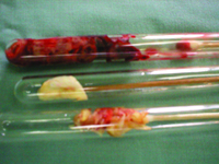 ���ȡ������׸����/����ժҪ/��������/��/��/