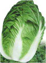 
��ײˣ�����ҲҪϴ����
//