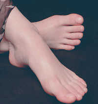 
ָ�ϣ�������������
//