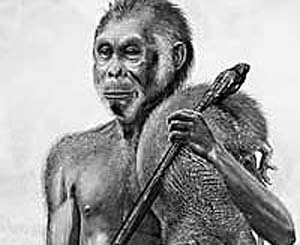 ���˻�ʯ����&nbsp;����������������������֧//