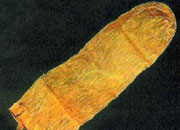 ���లȫ��360���ݱ���ͼ//