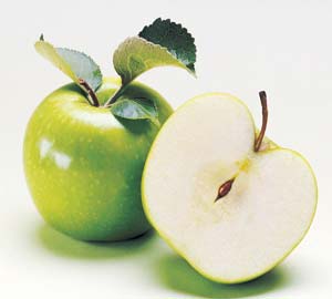 ׳��ʳ��֮ˮ��ƪͼ//