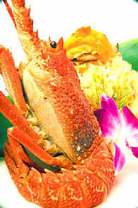 �޹���ʥ�����(ͼ)/��ʽ�������˾������/��ʽ����������Ǳ�ѡ/��ʽ���߹����ŵ�ʥ����ζ����/��һƪ/