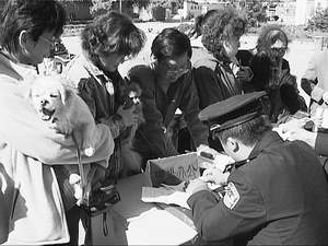 Ϊ��Ȯ�ϻ���(ͼ)//