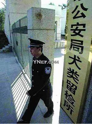 ����Ȯ���������״ο���//