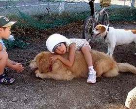 ���˹�����ͯ��(ͼ)//