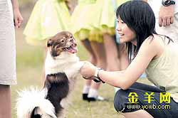 ������SHOW��(ͼ)//