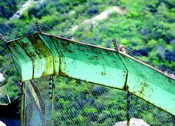 ��������԰��ɽ������(ͼ)//