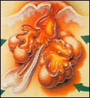 Ϊʲô���۴̡�����ķ������ơ�/