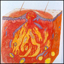 Ϊʲô���۴̡�����ķ������ơ�/