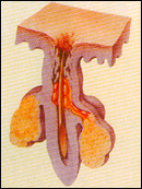 Ϊʲô���۴̡�����ķ������ơ�/