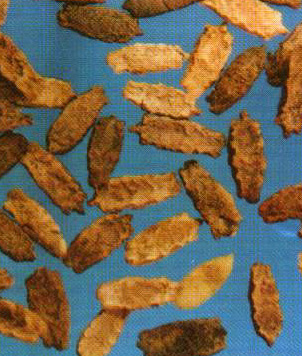 �������//