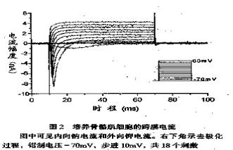 �⻯���׻��۷�����Ͷ���-��-��़ͩ�Թ�����ϸ���̼��շ������������õıȽ�/