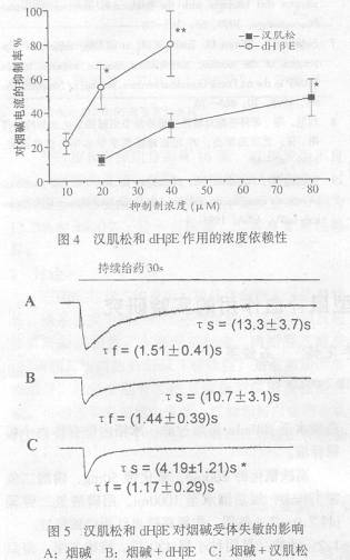 �⻯���׻��۷�����Ͷ���-��-��़ͩ�Թ�����ϸ���̼��շ������������õıȽ�/