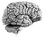 ���������ж���׼(����)��ͨ��ר����//