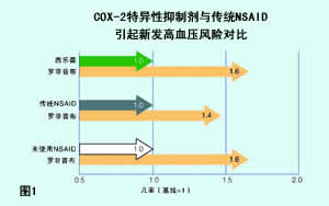 COX-2ƼѪ¼ٴ/᲻ĹΣ/ܵѪܱ/