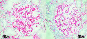 �ٴ��������ۡ�����Χ�񾭲��䡢������/����ժҪ/��Ϸ���/����/С��/