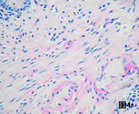 �ٴ��������ۡ�����Χ�񾭲��䡢������/����ժҪ/��Ϸ���/����/С��/