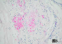 �ٴ��������ۡ�����Χ�񾭲��䡢������/����ժҪ/��Ϸ���/����/С��/