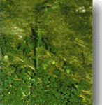 ������//