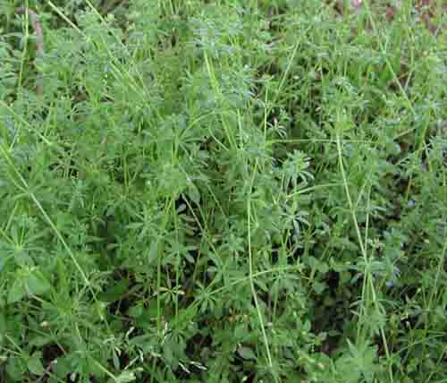 ������//