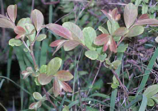 ������//