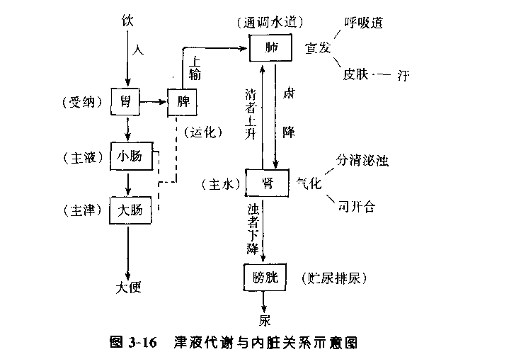 ����������//