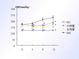 �粡������Ѫ�ܼ�������Լ������о���չͨ�������ƶ��Է��Ը�Ѫѹ�����������ṹ�͹��ܵ�Ӱ��/ժҪ/�����뷽��/���/