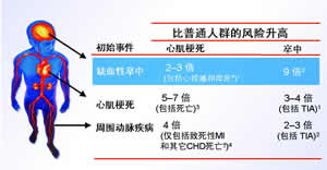 ��������Ӳ��Ѫ˨�γɡ���һ��ȫ���ԵĶ�Ѫ�ܴ�����/Ѫ�ܴ����Ԥ��Σ������/��/��/