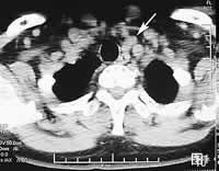 ��״��������������//