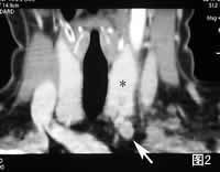 ��״��������������//