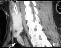 ��״��������������//